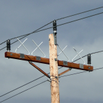 4-16-inch-raptor-guards-on-pole